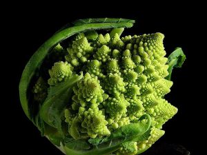 Romanesco