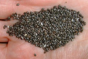 Chia Seeds